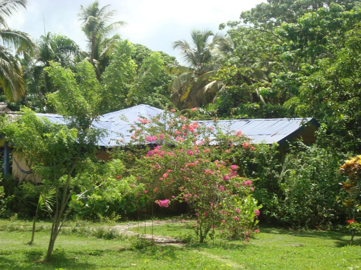 Fata Morgana Eco Hotel Las Terrenas Eksteriør bilde